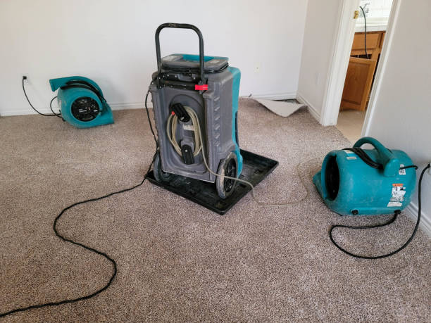 Best Carpet water damage restoration  in Newman, CA