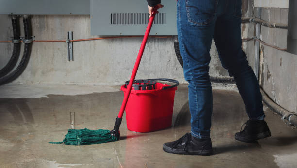Best Sewage cleanup and water damage restoration  in Newman, CA