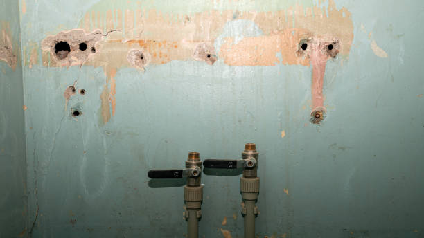 Best Water damage mitigation services  in Newman, CA