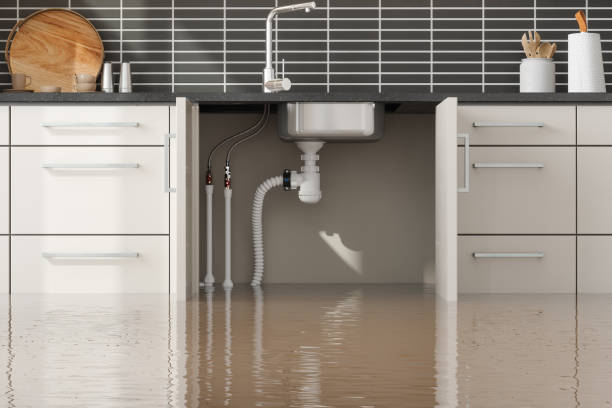Best Flooded house restoration  in Newman, CA