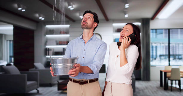 Best Professional water damage repair  in Newman, CA